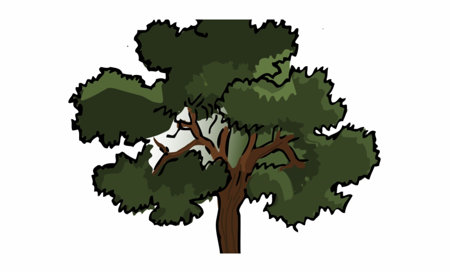 Tree Cartoon Png Angle Of Elevation And Depression.