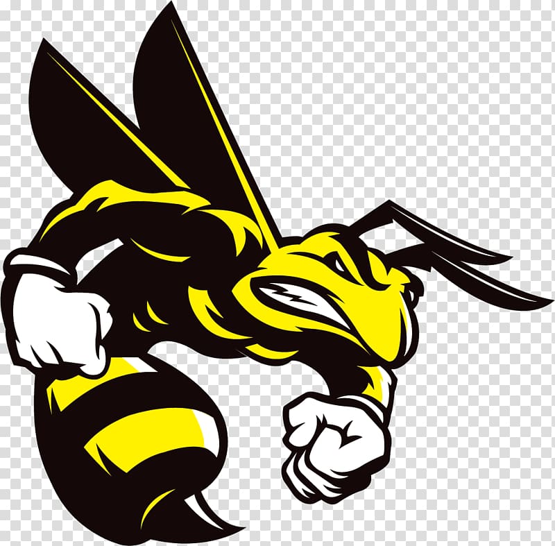 Black and yellow hornet illustration, Honey bee Hornet.