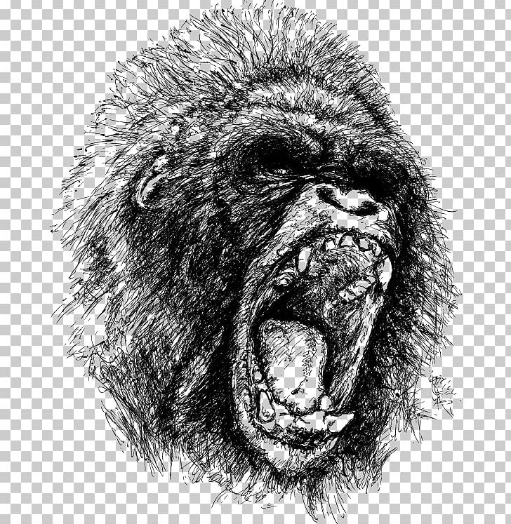 Gorilla Ape King Kong Drawing Anger PNG, Clipart, Angry, Angry.