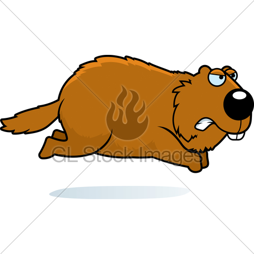 Angry Cartoon Woodchuck · GL Stock Images.