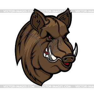 Angry boar head mascot. Wild pig or hog icon.