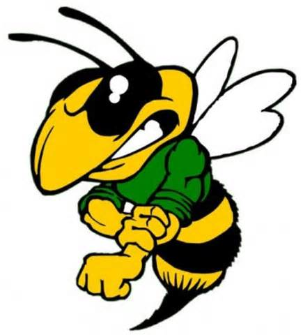 Png Angry Hornet Clipart Png.