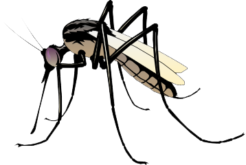 Mosquito Clipart Free.