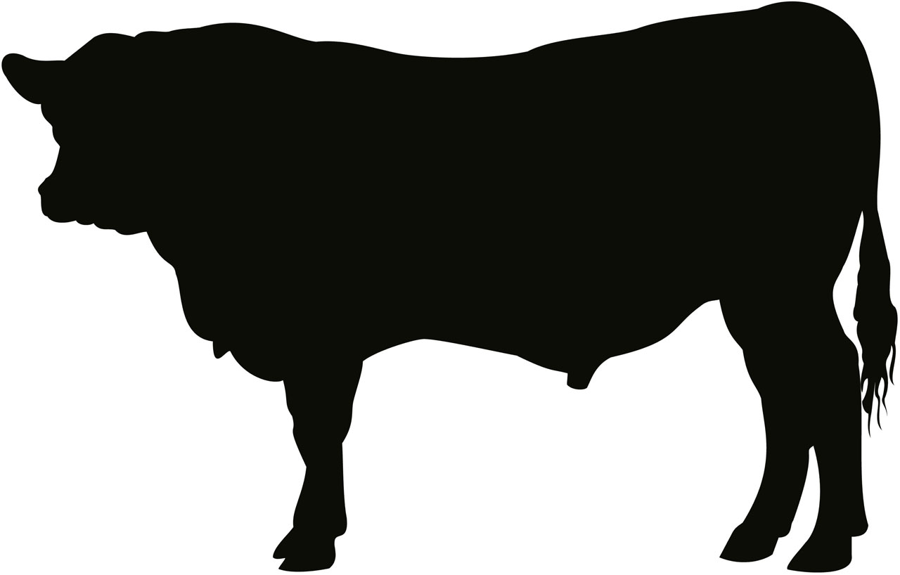 Black Angus Cow Silhouette.