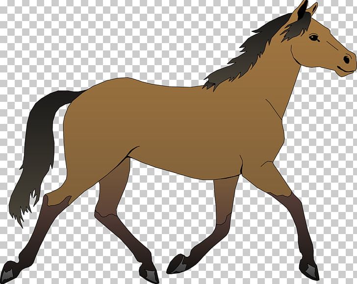 Horse Foal PNG, Clipart, Animal, Animals, Animation.