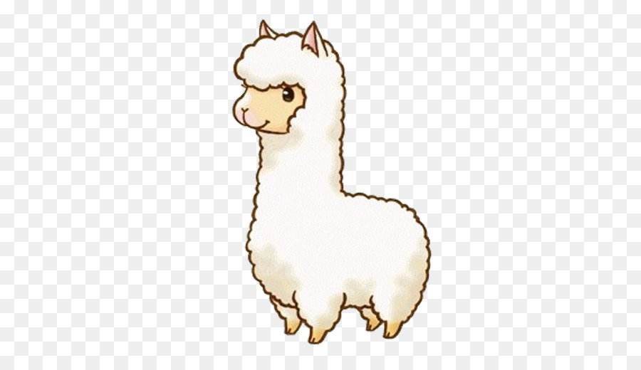 Llama Cartoon clipart.