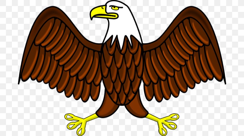 Bald Eagle Philippine Eagle Free Content Clip Art, PNG.