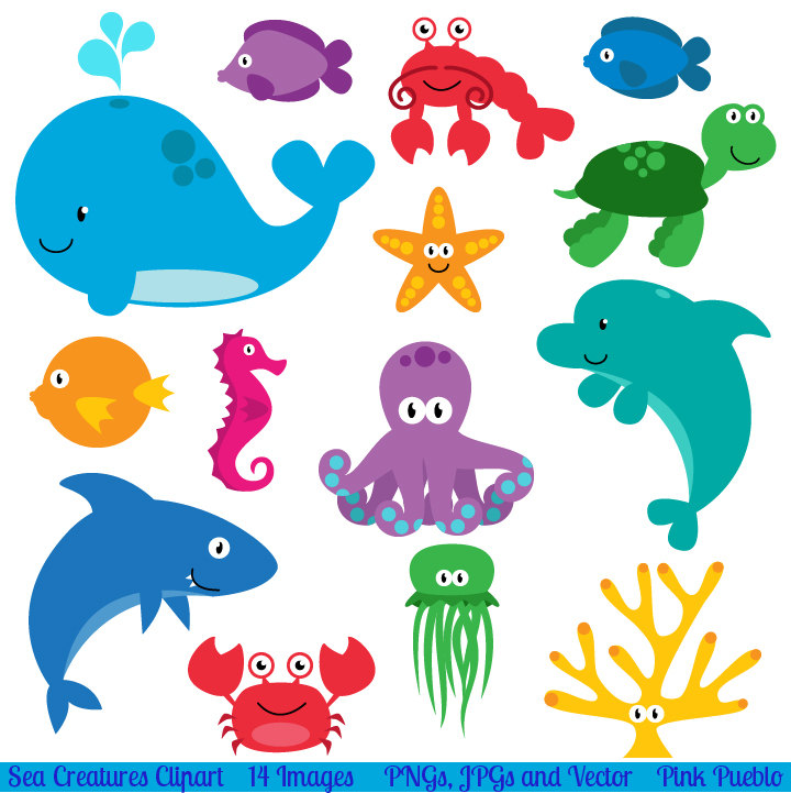 Beach animals clipart.