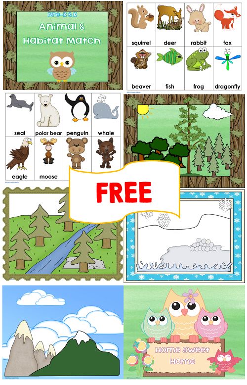 Free Animal Homes Cliparts, Download Free Clip Art, Free.