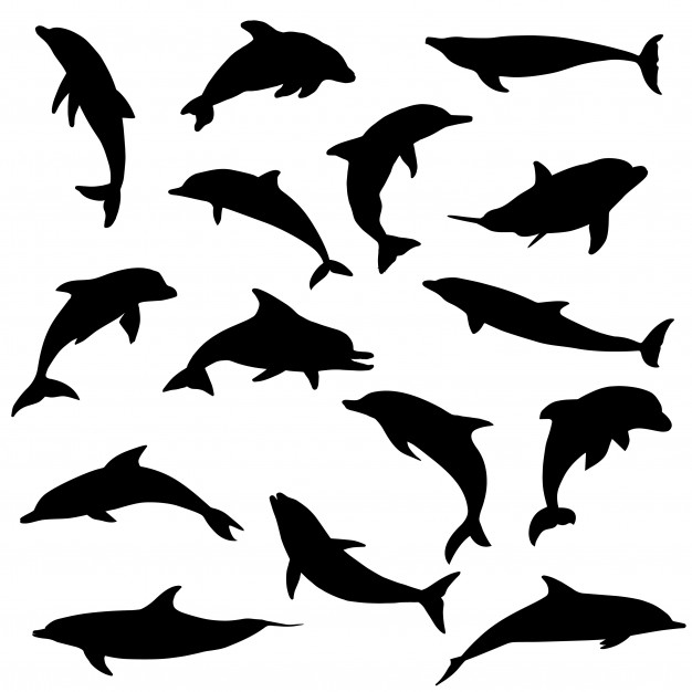 Dolphin sea animals silhouette clip art vector Vector.