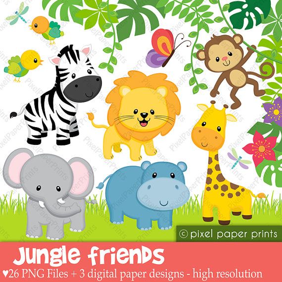 Jungle Friends.