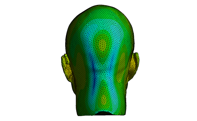 ANSYS Acoustic ACT extension in ANSYS Workbench.