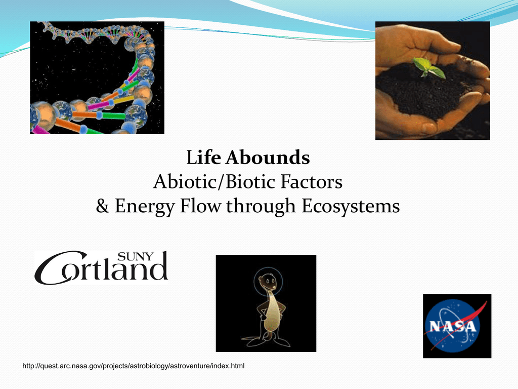 Changing Gears—Abiotic vs. Biotic Factors.