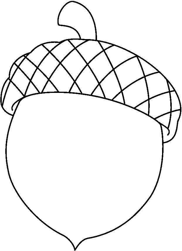 Acorn Outline Clipart.