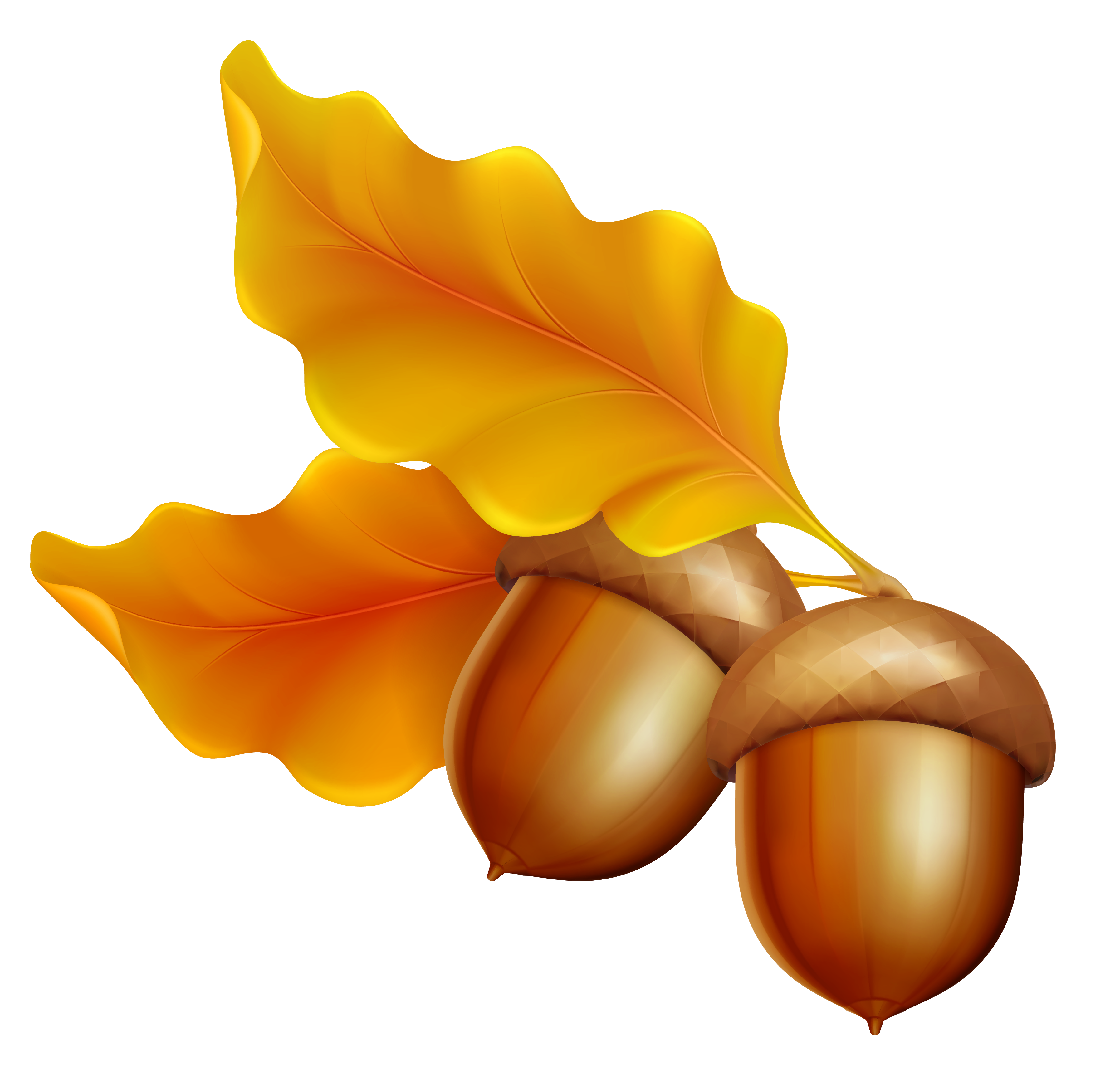 Leaves and Acorns Clip Art.