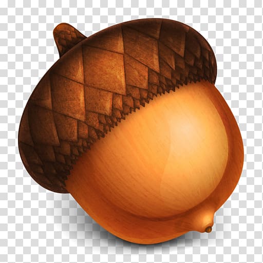 Acorn , Acorn , free, acorns transparent background PNG.