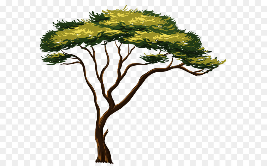 Family Tree Background png download.