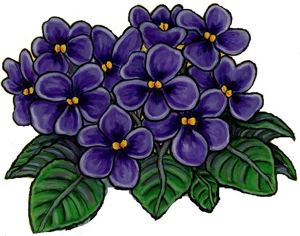 Free Cliparts African Violet, Download Free Clip Art, Free.