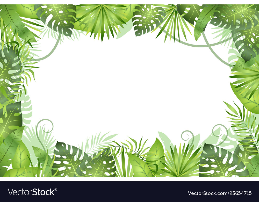 Jungle background tropical leaves frame.