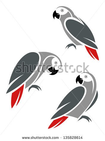 African Grey Parrot Clipart.