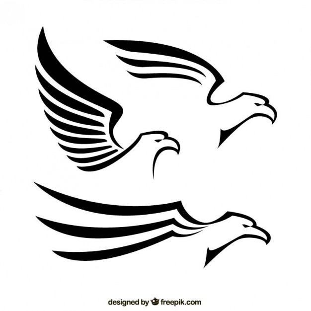 Aguila Vectors, Photos and PSD files.