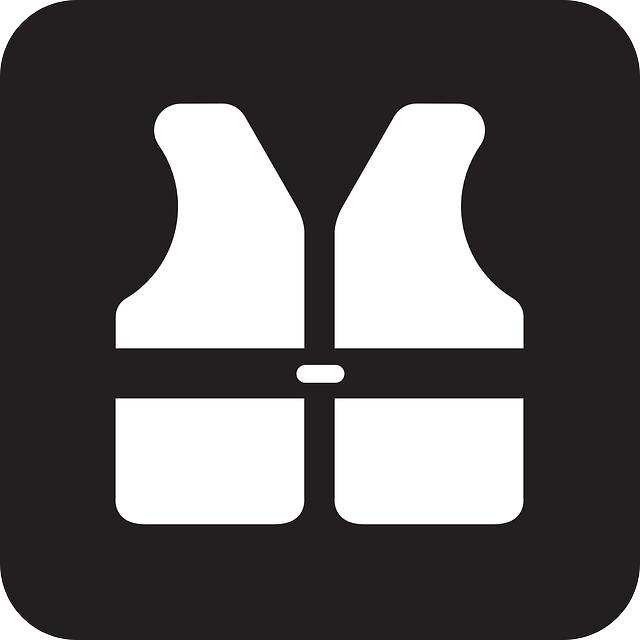 Free vector graphic: Life Jacket, Life Preserver.