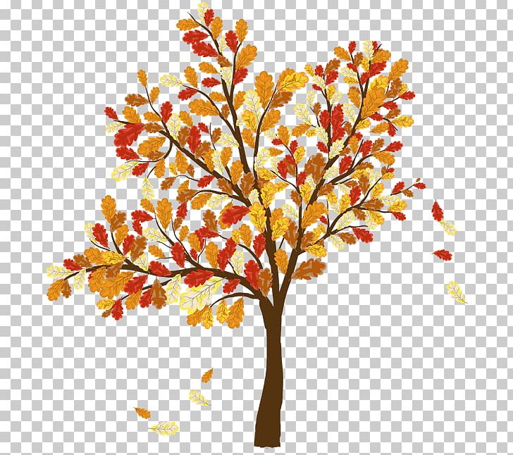 Autumn Leaf Color Tree PNG, Clipart, Autumn, Autumn Leaf.