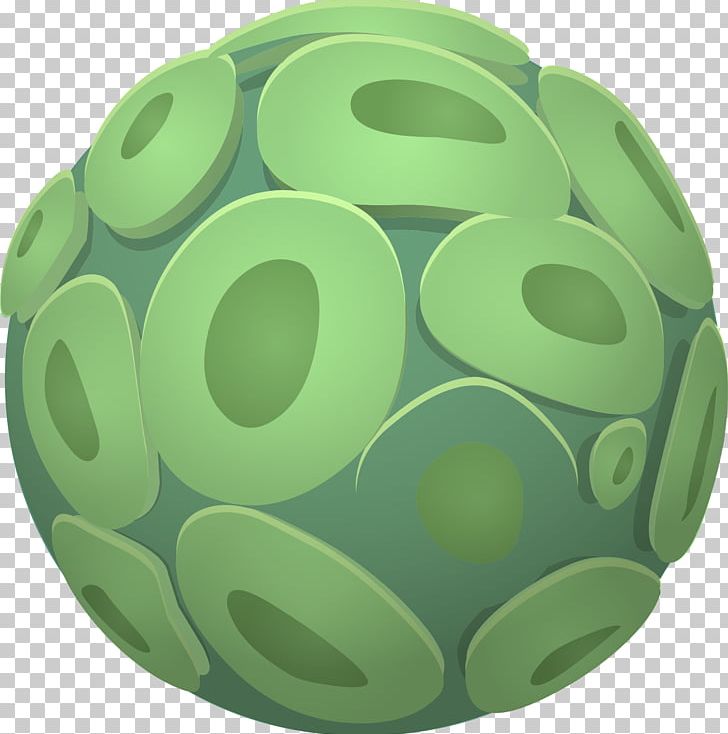 Green Algae Plant Cell PNG, Clipart, Algae, Biology, Cell.