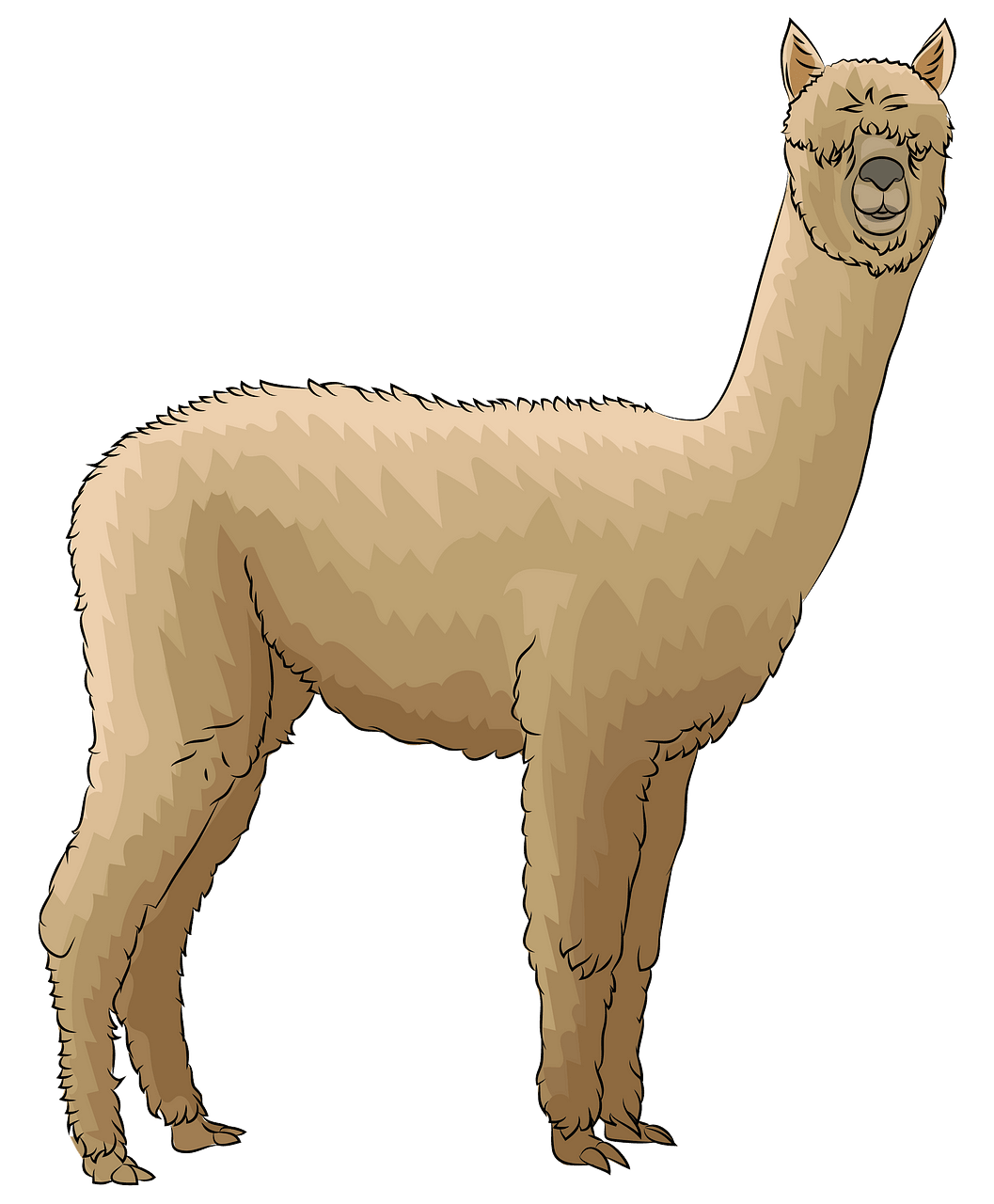 Alpaca clipart. Free download..