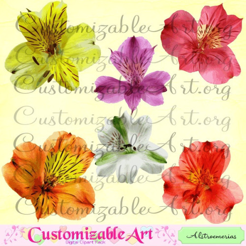 alstroemeria clipart.