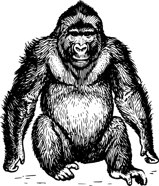 Ape clip art Free vector in Open office drawing svg ( .svg.