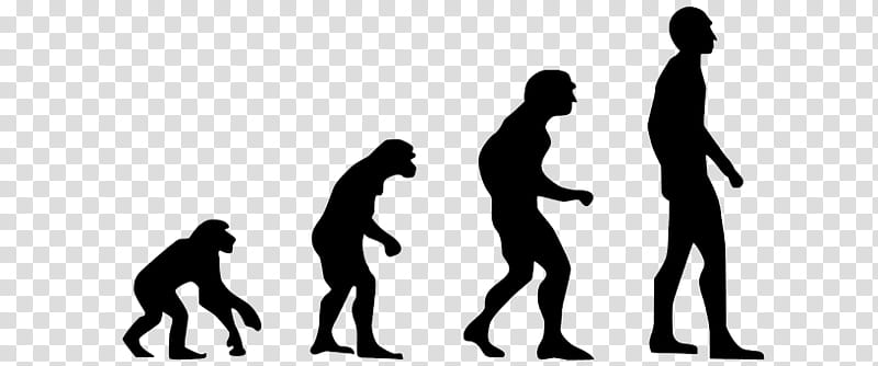 Human Evolution Silhouette, Neanderthal, Insitome Inc.