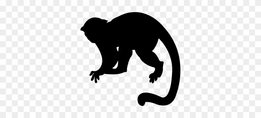 Monkey Silhouette Png.