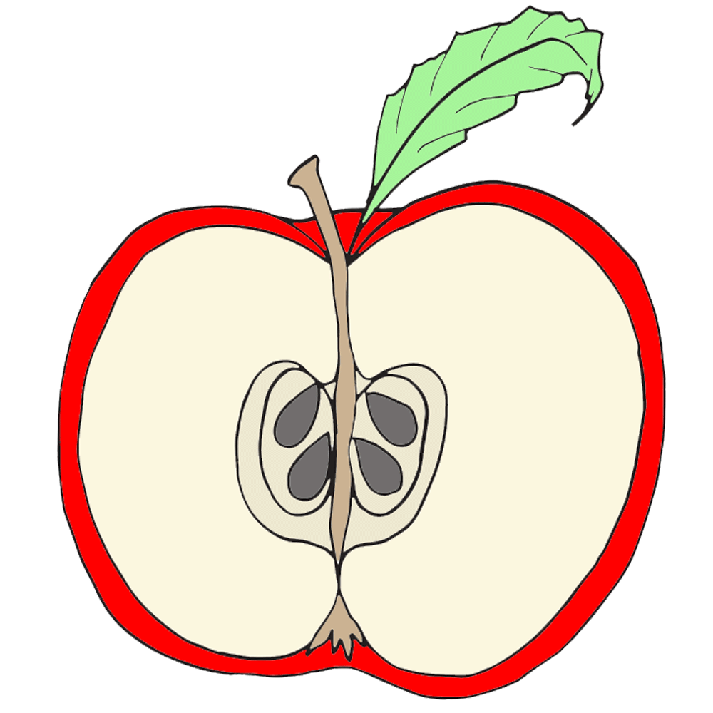 Free Cut Apple Cliparts, Download Free Clip Art, Free Clip.