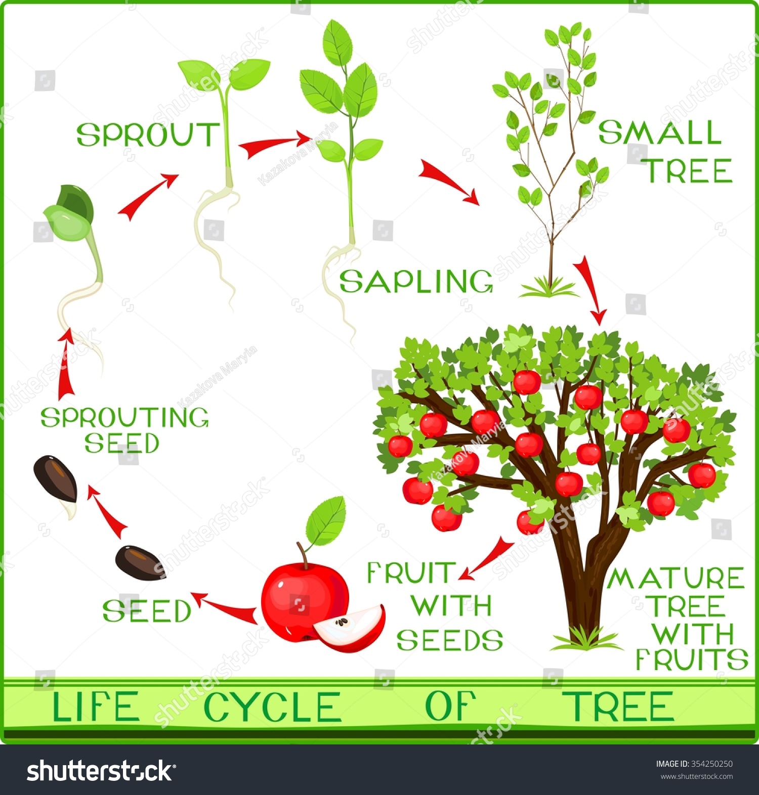 2126 Cycle free clipart.