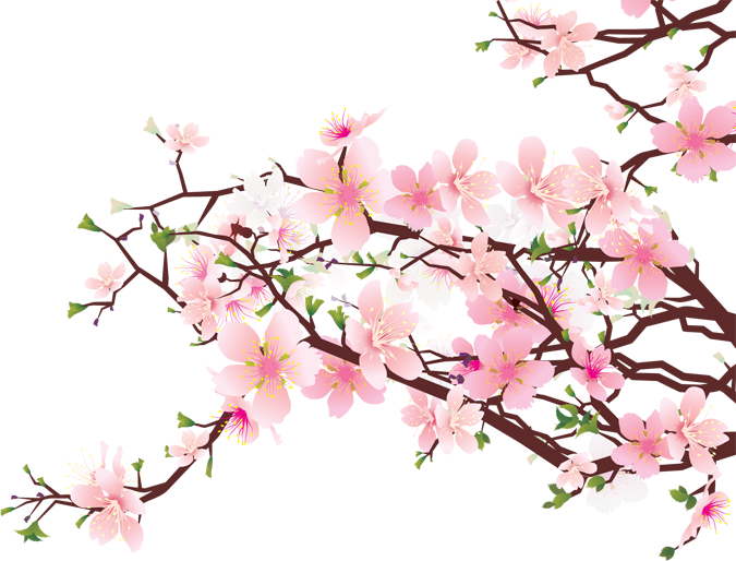 cherry blossom clip art.