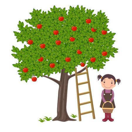 Apple orchard clipart 3 » Clipart Portal.