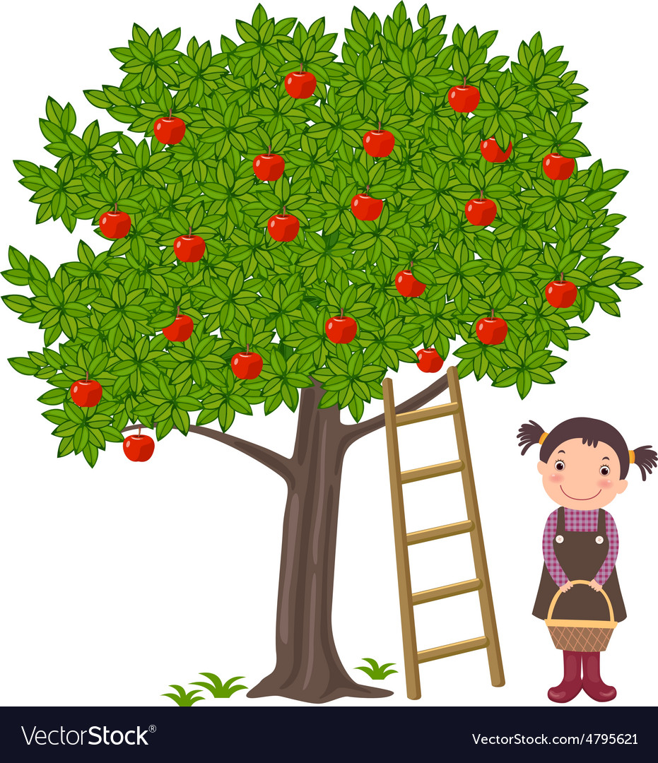 Girl picking apples.