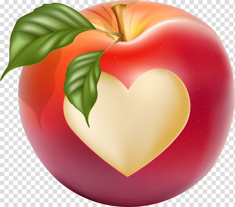 Heart Drawing, Hand drawn Love Apple transparent background.