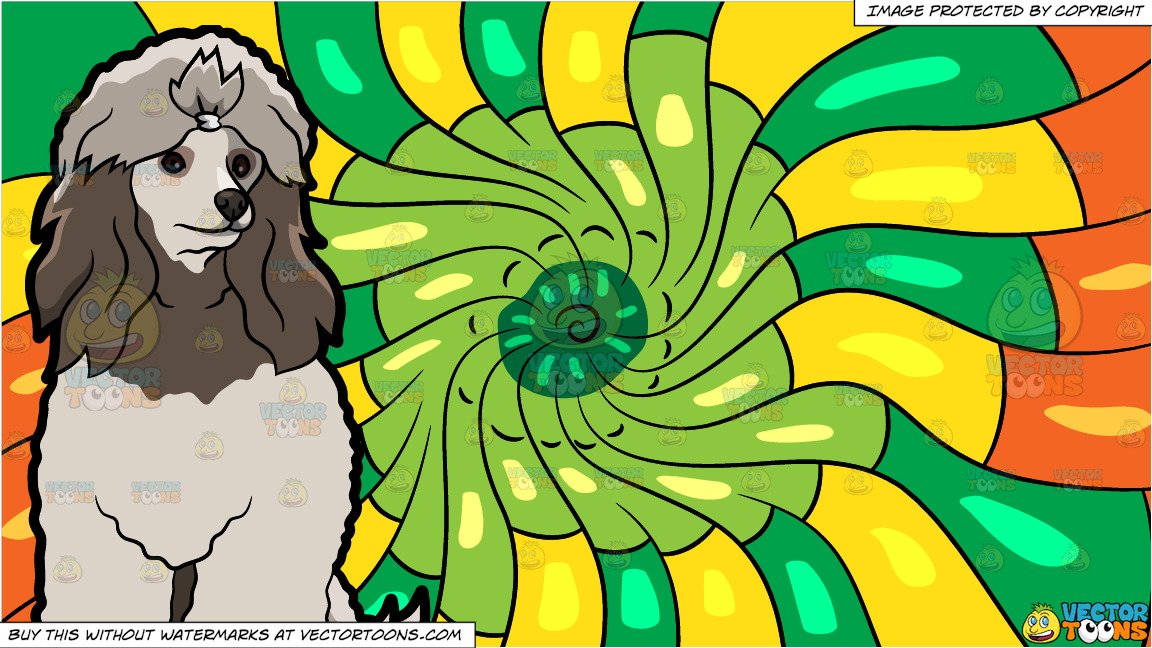 A Beautiful Miniature Poodle and A Psychedelic Warm Swirls Background.