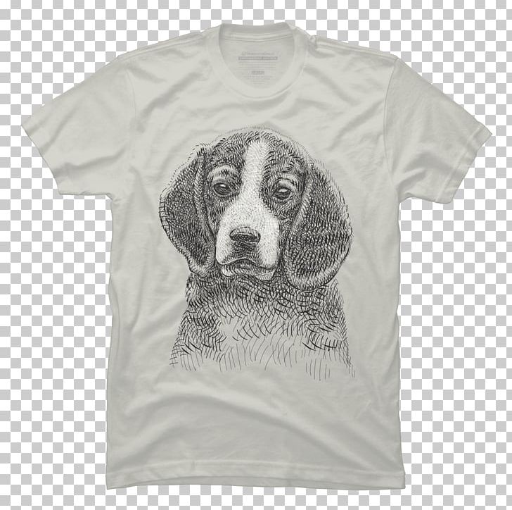 Beagle T.