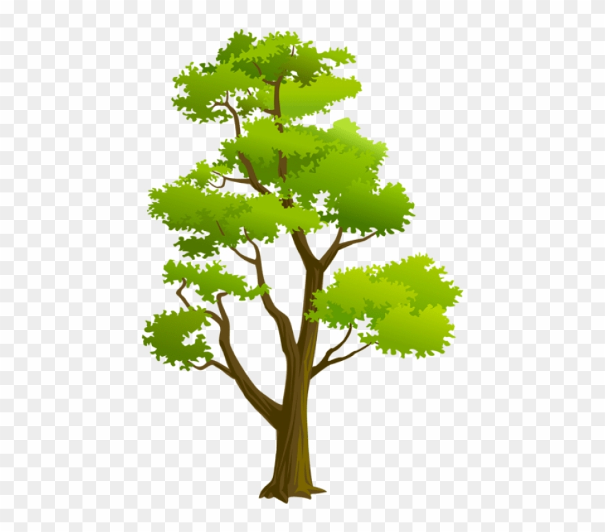 Free Png Download Tree Png Png Images Background Png.