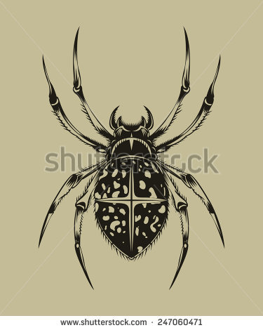 Araneus Stock Vectors & Vector Clip Art.