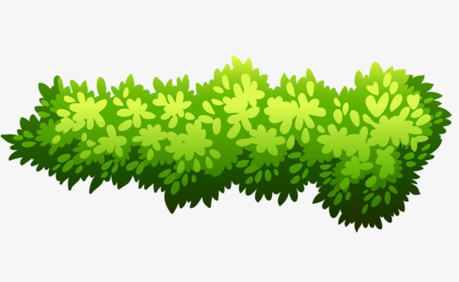 Green Bush, Bush Clipart, Shrub, Plant PNG Transparent Image and.