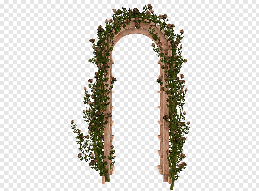 Rose Vine, Garden Roses, Flower, Flower Garden, Arch, Gate.