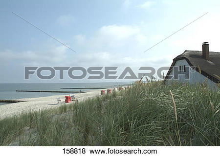 Pictures of Reed with house on beach, Fischland.