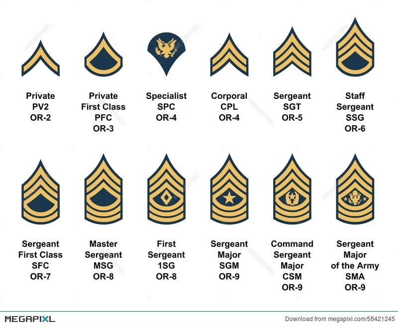 Highest enlisted rank army - whyat