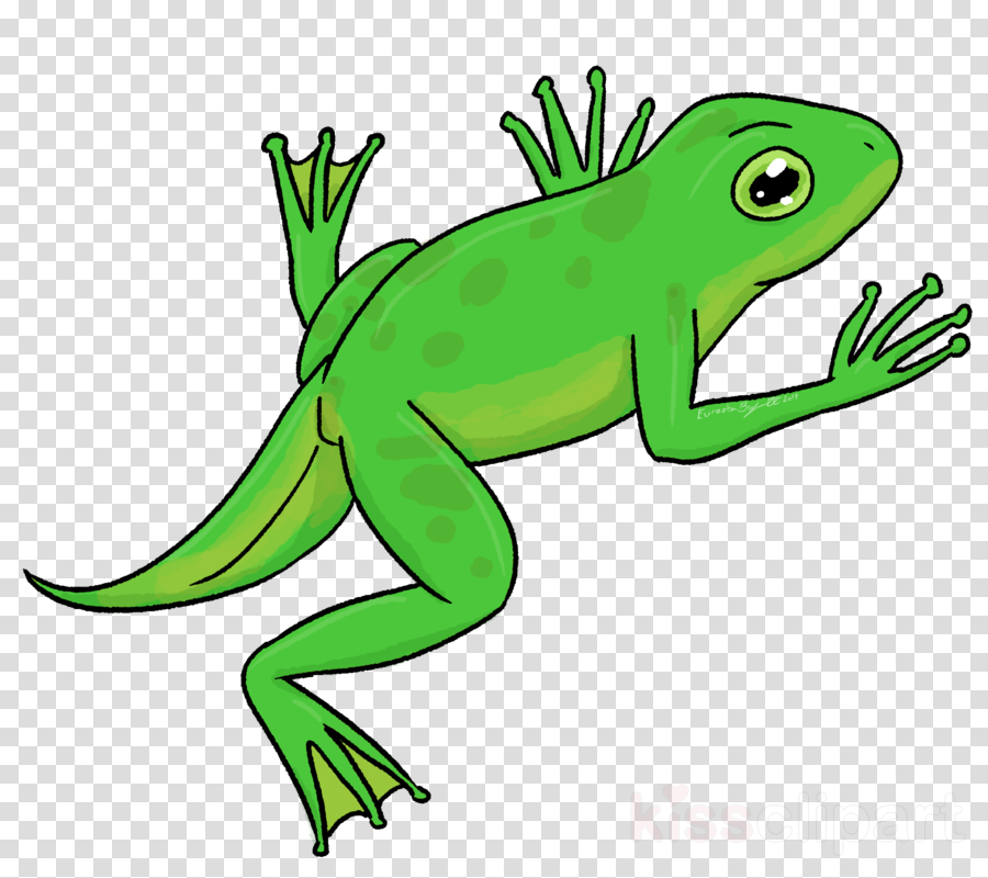 green lizard european green lizard reptile clip art clipart.