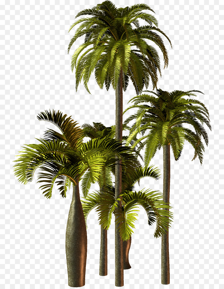 Palm Oil Tree clipart.