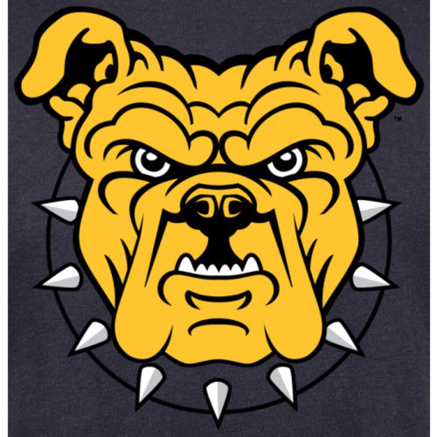 North Carolina A&T Aggies Alternate Logo T.